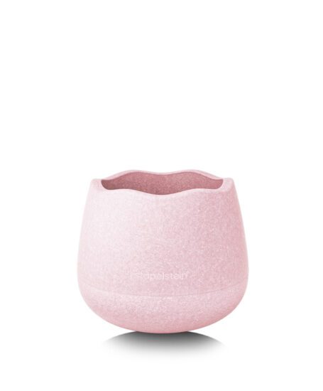 Stapelstein Dynamic Base rose